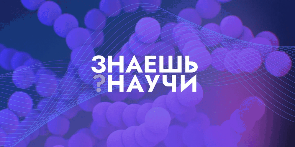 изображение_2023-02-28_151733348